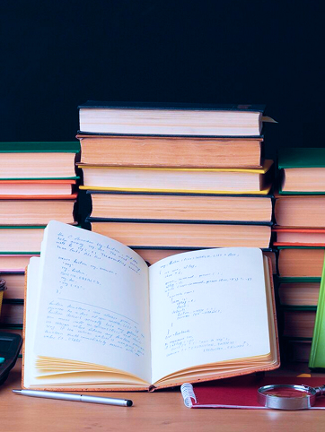 Progressive <br> Curriculum